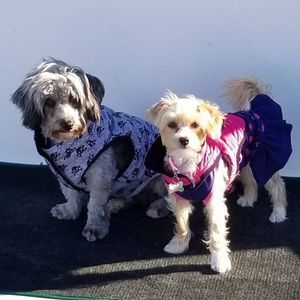 Meet your Posher, Charles